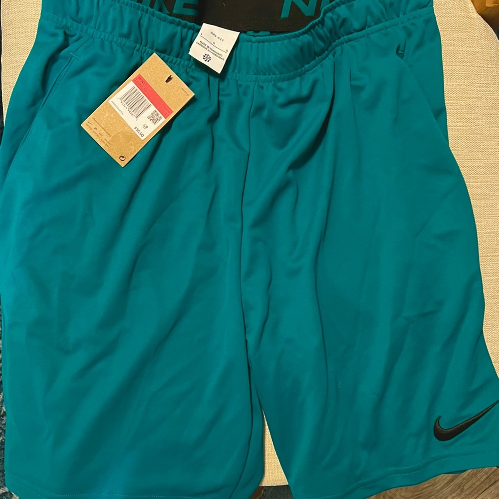 Nike Men’s Athletic Shorts, Size Large, Teal NWT